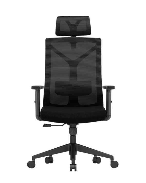 Executive Office Chair - AC 02