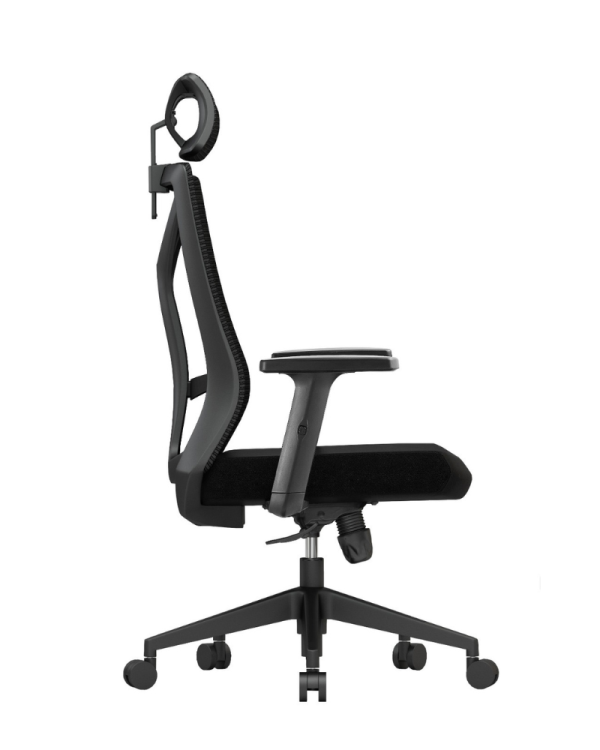 Executive Office Chair - AC 02